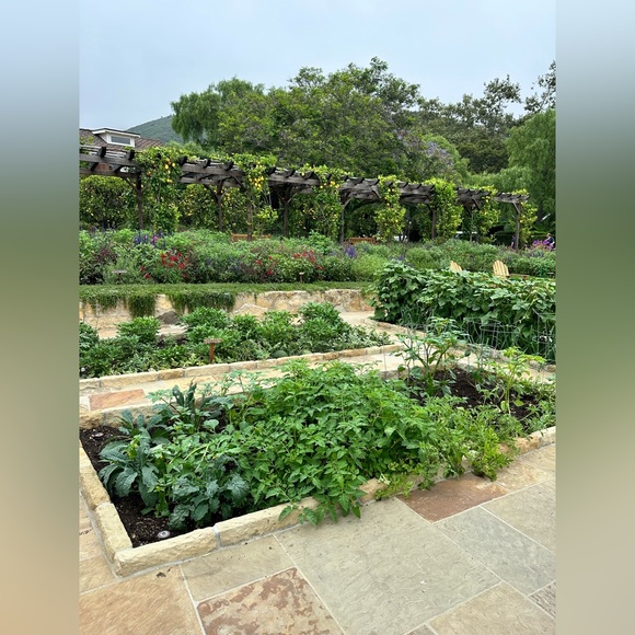 Meet your Posher, Anya - Picture 16 of 16